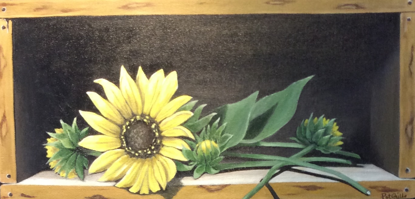Still Life in Light