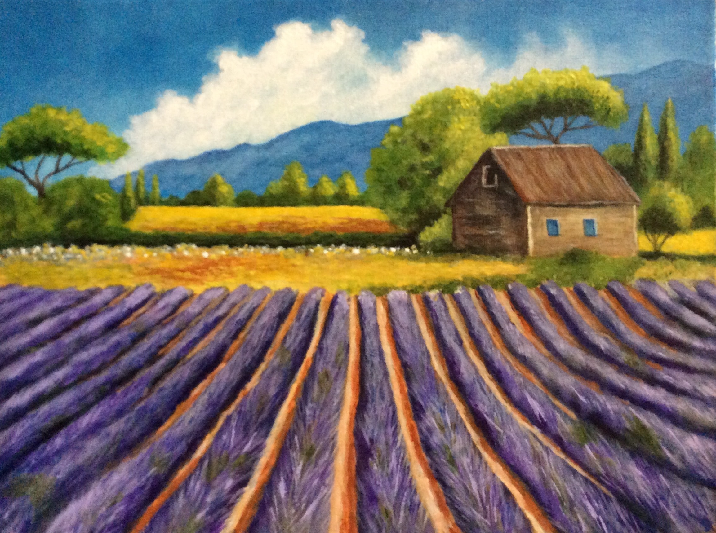 Lavender Field