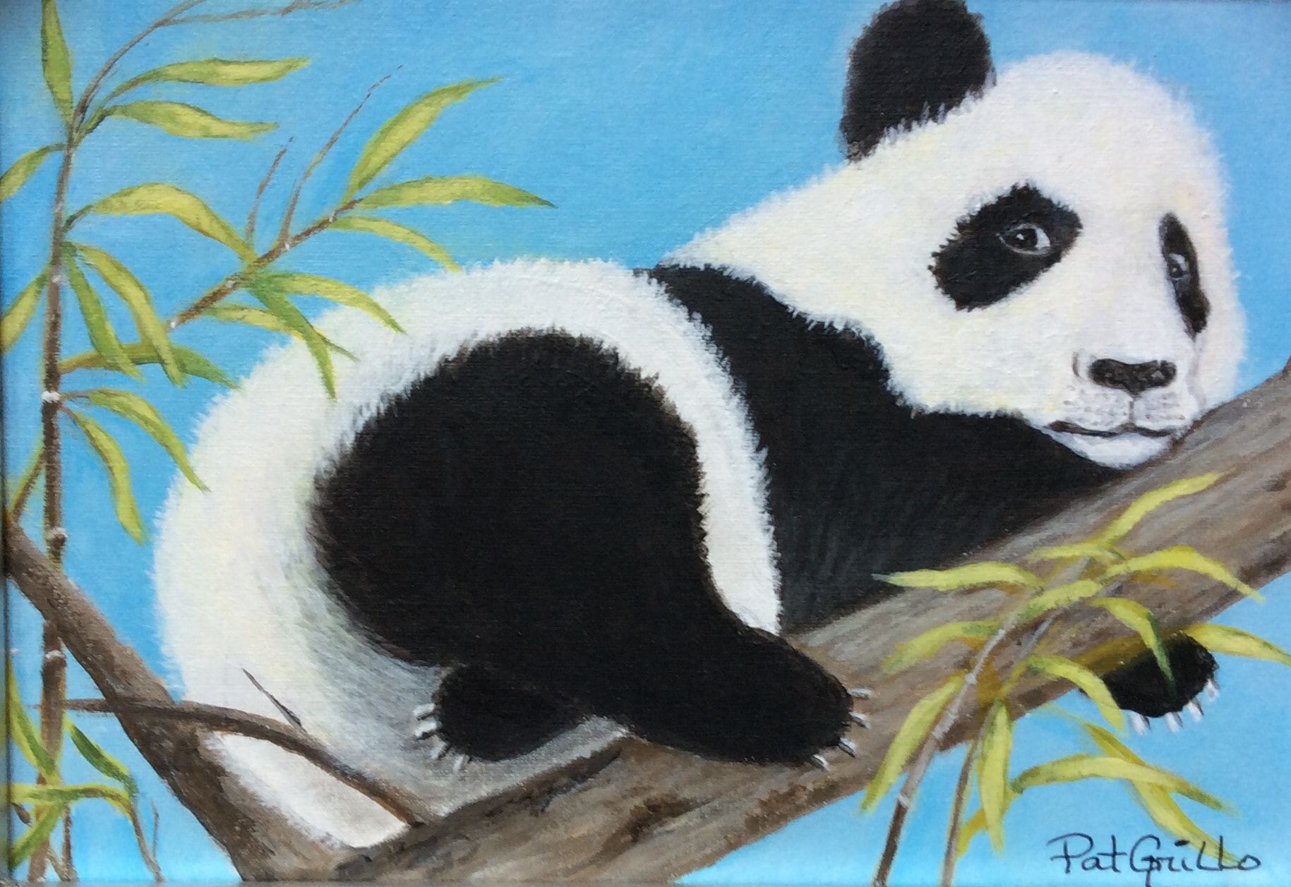 Panda