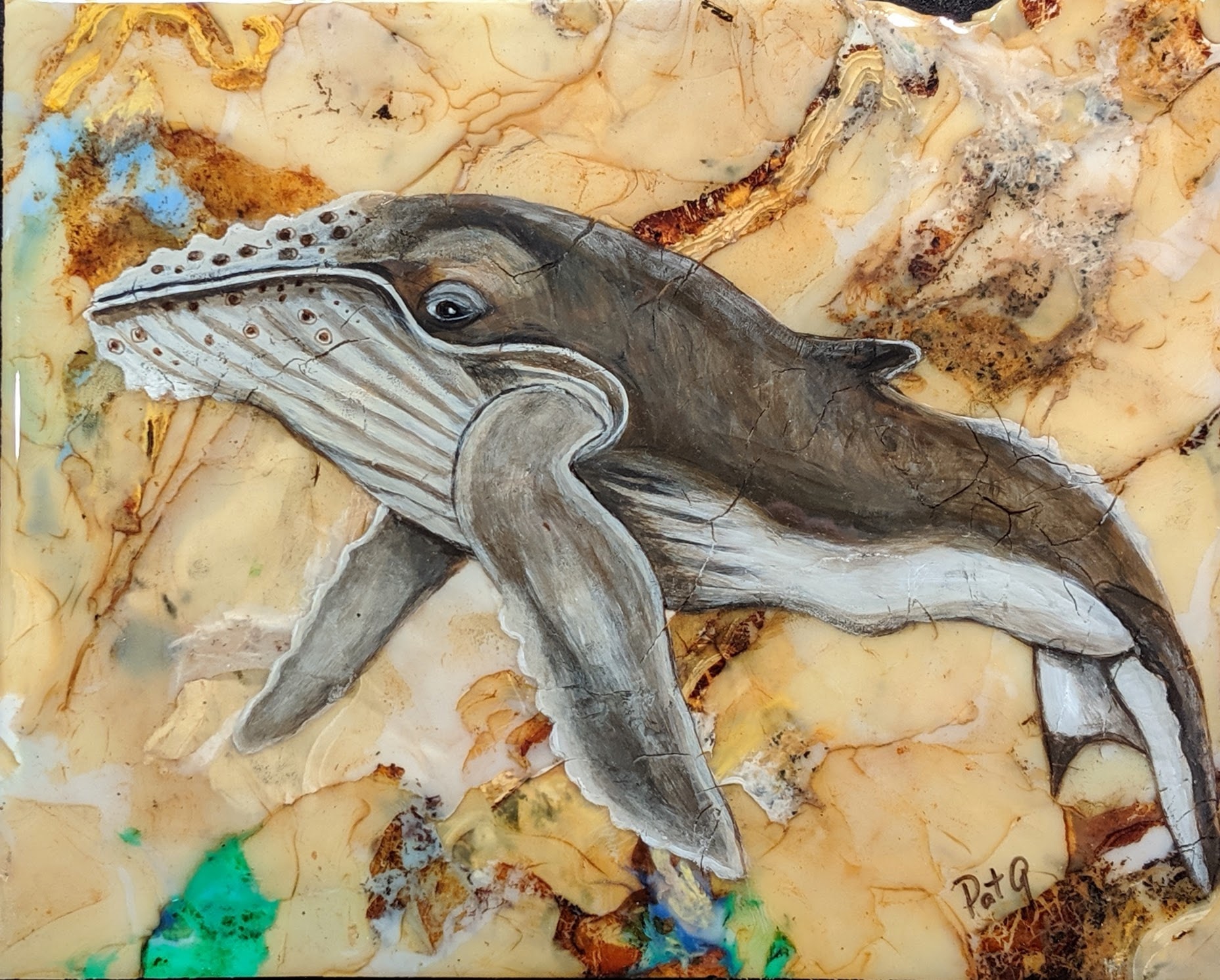 S.O.S. Humpback