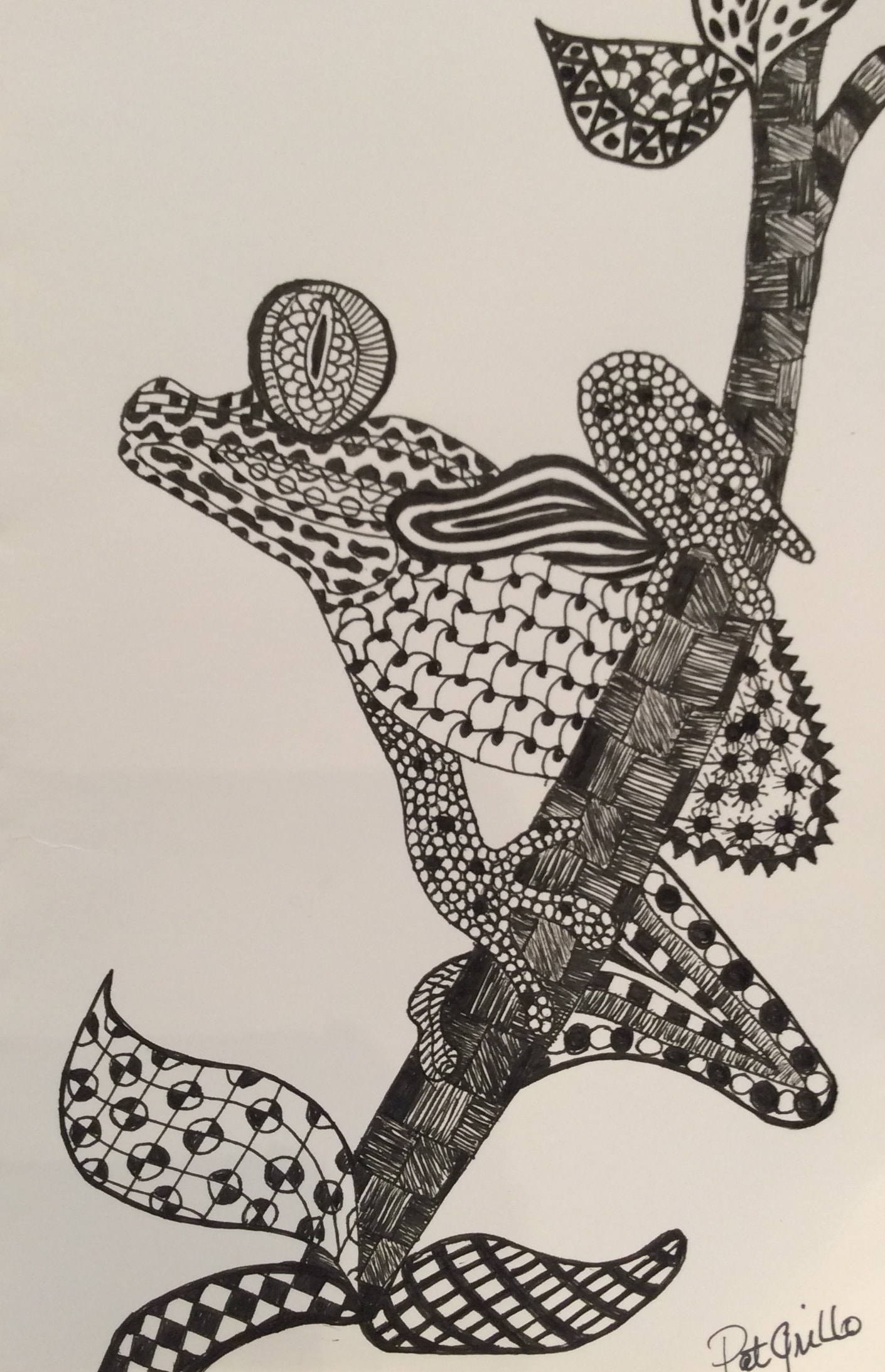 Zendoodle Frog