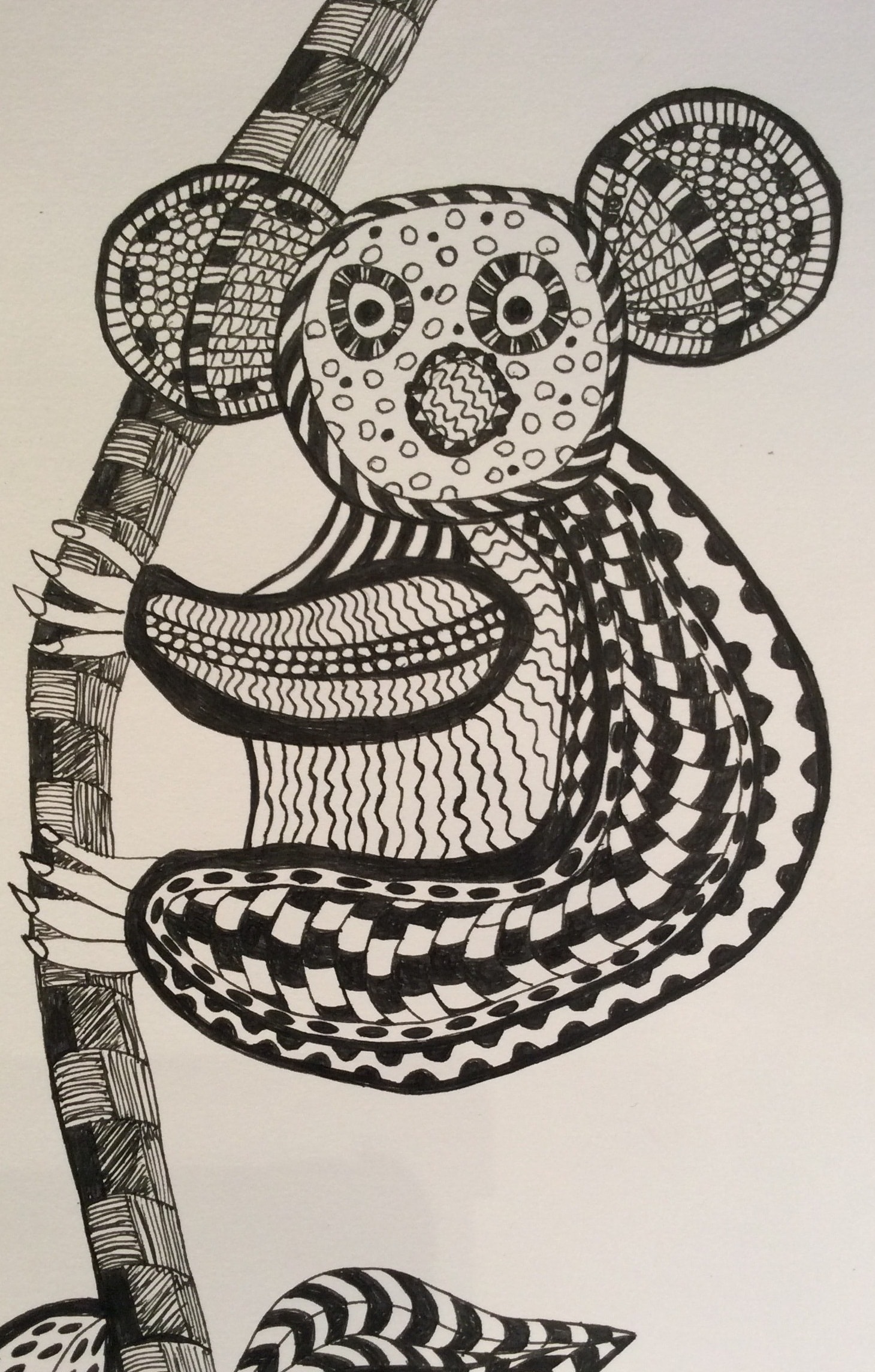 Zendoodle Koala