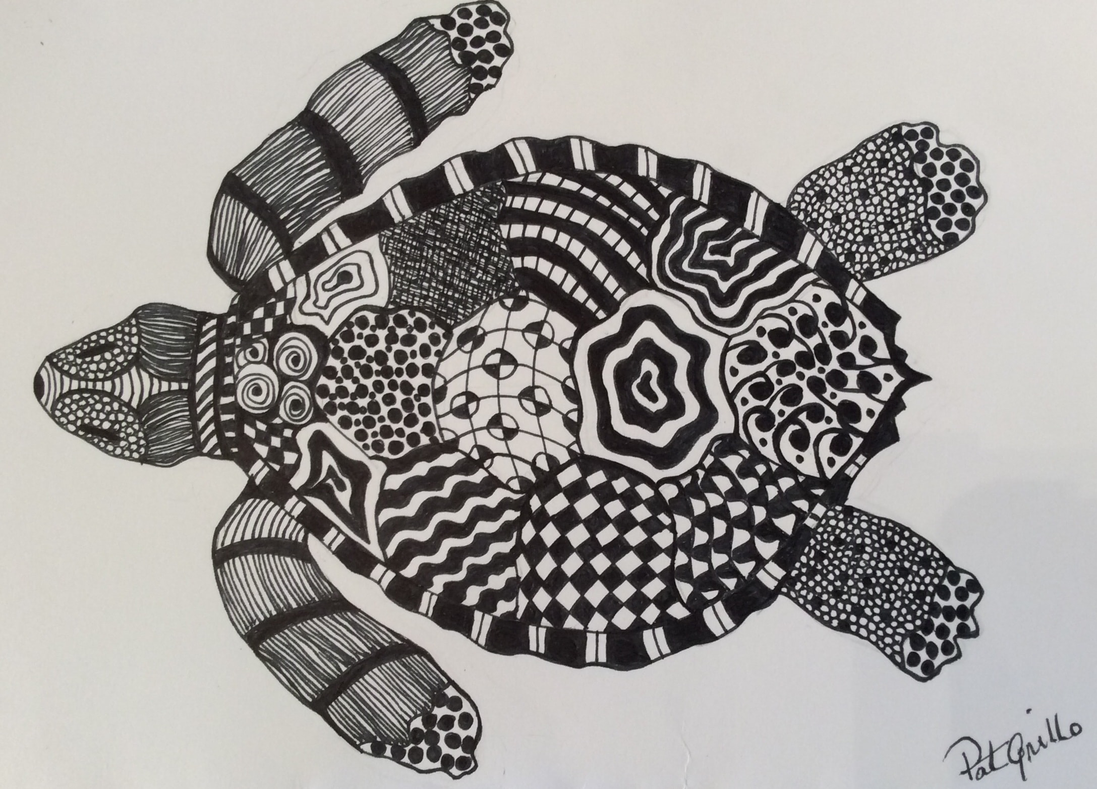 Zendoodle Sea Turtle